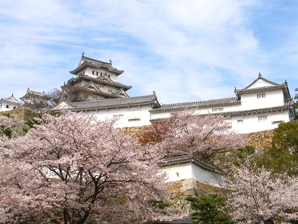 姫路城の桜 姫路城公園の花見 壁紙写真集 無料写真素材