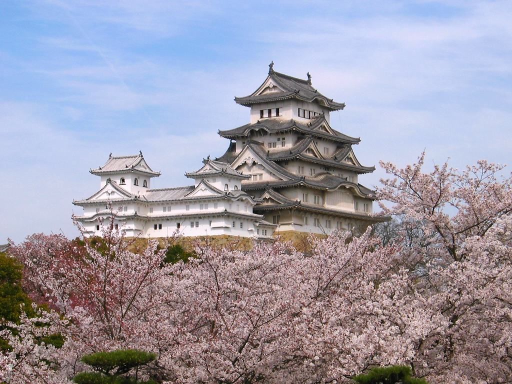 姫路城の桜 姫路城公園の花見 壁紙写真集 無料写真素材