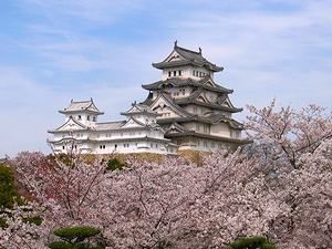 姫路城の天守閣と桜の風景