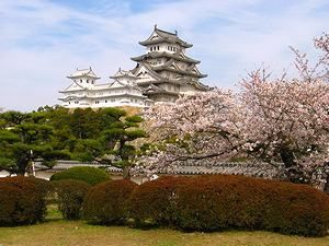 姫路城西の丸庭園と姫路城大天守の桜の風景