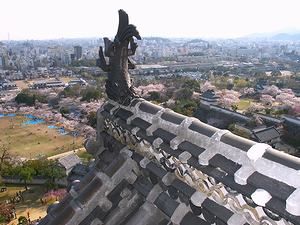 姫路城天守閣最上階からの眺め・天守閣のシャチホコ
