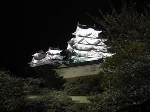 姫路城大天守のライトアップと夜景