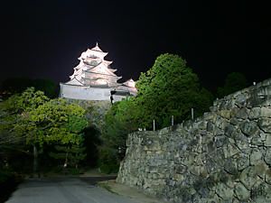 姫路城と石垣のライトアップ夜景