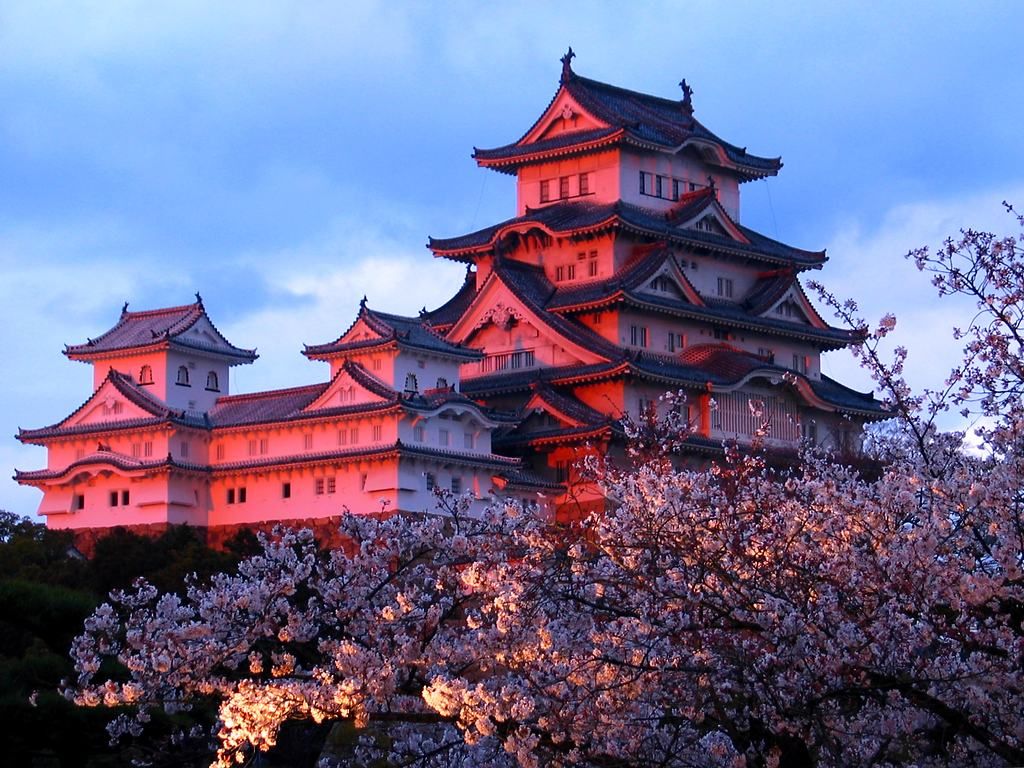 姫路城の夜桜 桜のライトアップ 壁紙写真集 無料写真素材