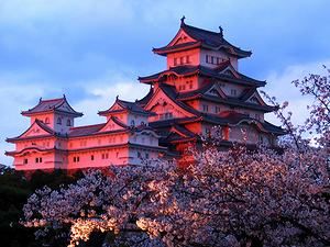 夕日に染まる姫路城と桜の花