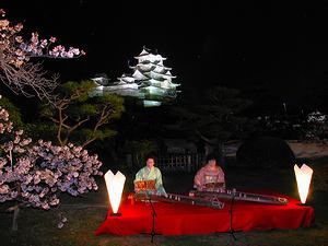 夜桜見学会（花あかり〜姫路城夜桜会）