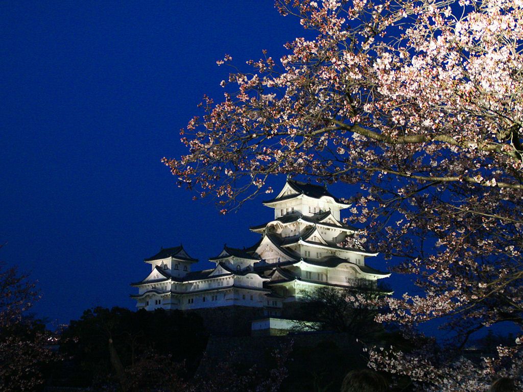 姫路城花あかり 姫路城夜桜会 姫路城と桜のライトアップ壁紙写真 無料写真素材