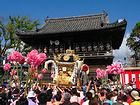 灘まつり・灘のけんか祭り/松原八幡神社