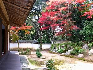 十妙院の庭園と紅葉