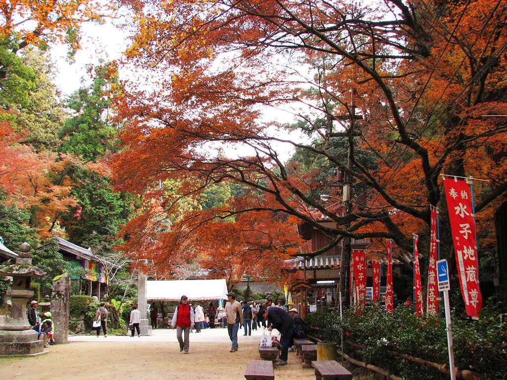 書写山円教寺の紅葉 書写山もみじまつり 壁紙写真集 無料写真素材