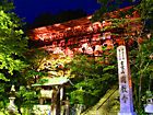 書写山円教寺のライトアップ夜景・書写山サマーナイトフェスティバル