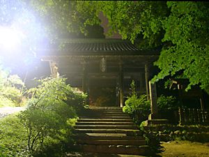 書写山・円教寺の山門・仁王門のライトアップ
