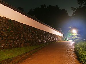 書写山円教寺の参道の夜景