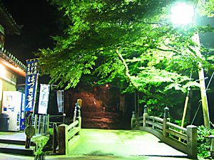 書写山円教寺の湯屋橋と参道の夜景