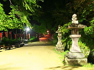 書写山円教寺の参道の夜景