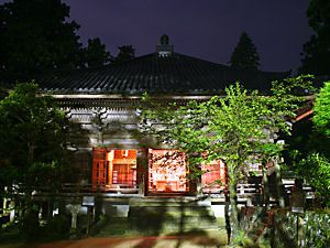 書写山円教寺・奥の院のライトアップ夜景