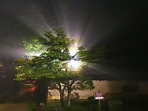 書写山円教寺のライトアップ夜景