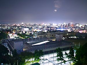 手柄山から見る姫路の夜景