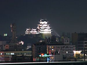 手柄山から見る姫路城のライトアップ夜景