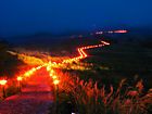 砥峰高原観月会とススキの草原・松明に照らされるススキの草原・夜景