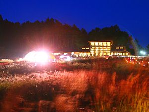 すすきの野原ととのみね自然交流館のライトアップ夜景