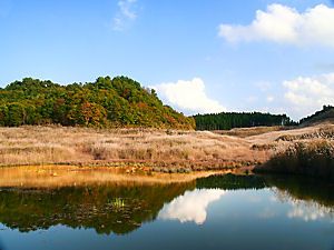 砥峰高原のススキの草原と池