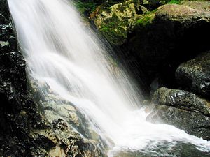 新緑の延ヶ滝