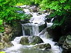 福知渓谷と福知川/渓谷・渓流と滝の壁紙写真