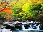 福知渓谷の紅葉/渓谷と紅葉の壁紙写真