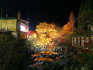 福知渓谷・福知川と紅葉のライトアップ