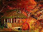 東山公園・揖保川の紅葉ライトアップ夜景