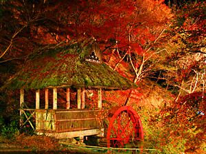 水車小屋と紅葉のライトアップ夜景