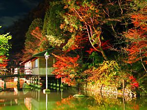 志んぐ荘の水上レストランと紅葉のライトアップ夜景
