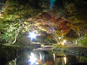 川面に映る紅葉のライトアップ夜景