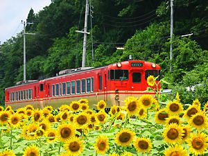 JR姫新線と南光ひまわり畑・ひまわりの花