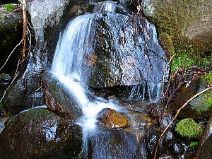 岡の泉と大日の水の水源