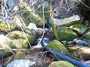 岡の泉と大日の水の水源