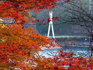 カラウコ大橋と紅葉