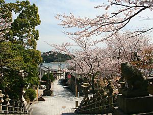 大避神社の山門から見た坂越港と桜