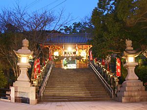 大避神社の夜景