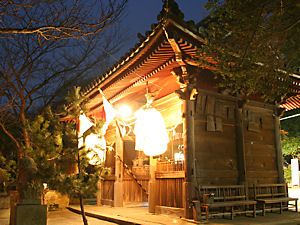 大避神社の山門の夜景
