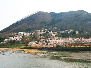 桜並木と千種川・笹ヶ丘公園