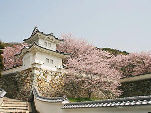 龍野城公園の桜