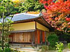 聚遠亭と紅葉/日本庭園と紅葉の壁紙写真