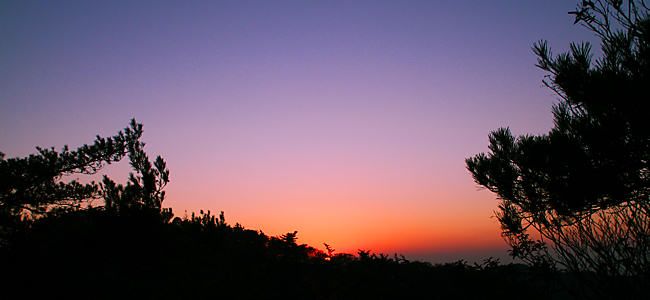 摩耶山の登山道「天狗道」から見る夕日