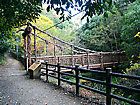布引渓流に架かる橋・水管橋の砂子橋、猿のかずら橋