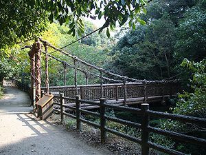 祖谷のかずら橋に見せて作られた「猿のかずら橋」
