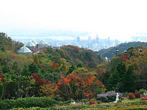 布引ハーブ園の紅葉と神戸港の風景