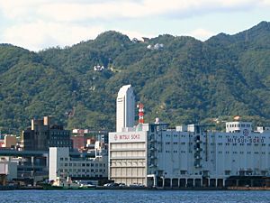 神戸港から見た世継山と布引ハーブ園