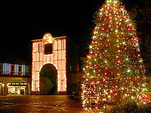 布引ハーブ園のクリスマスイルミネーション夜景とツリー